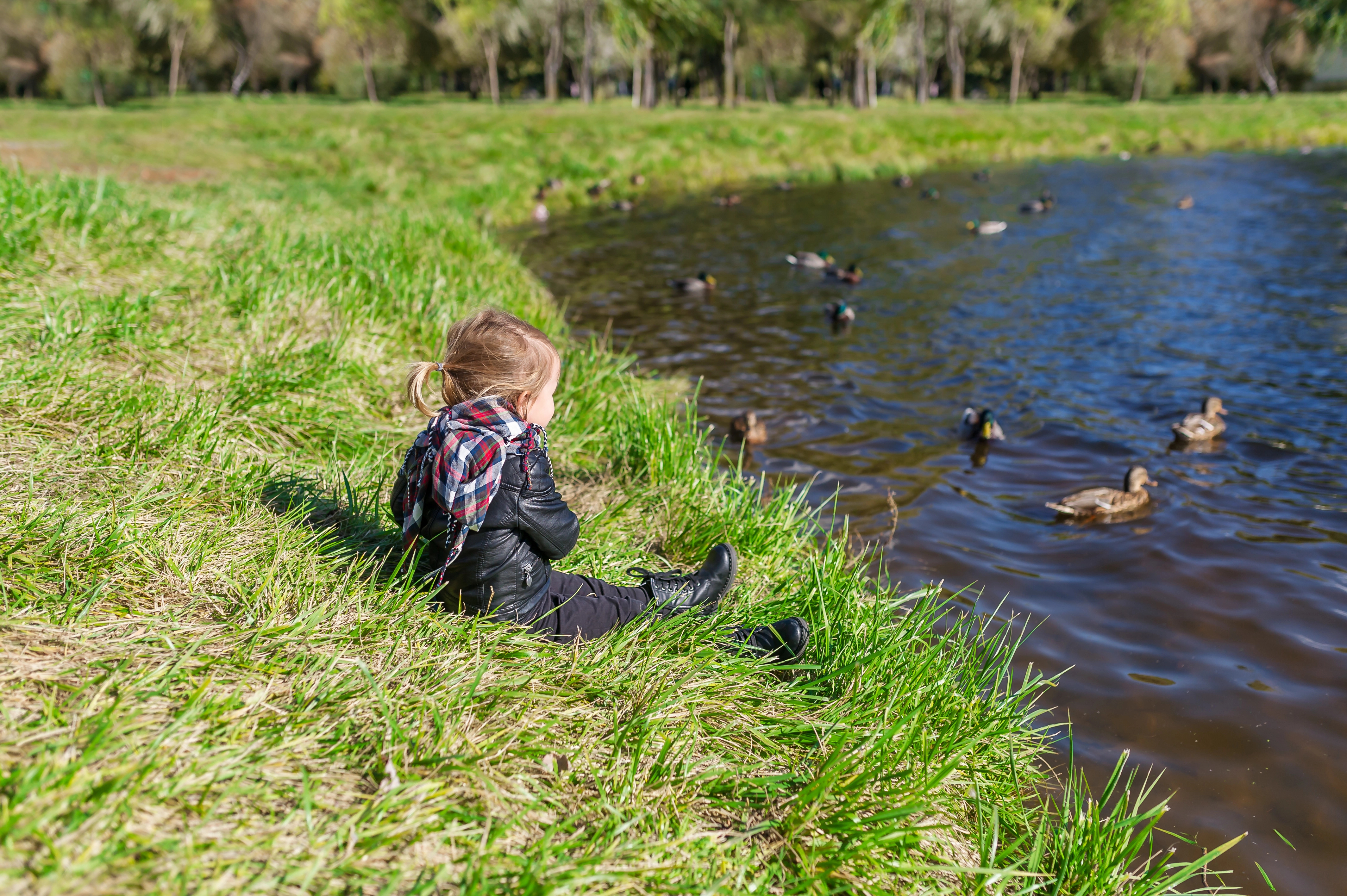 toddler watching the ducks in the pond